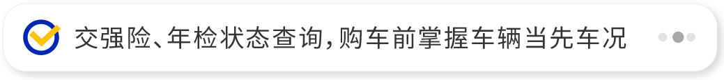 交强险、年检状态查询，购车前掌握车辆当前车况